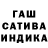 Бошки Шишки семена Ca$h Castro