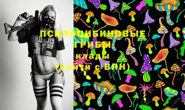 мдпв Михайловка