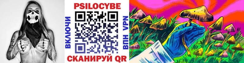 как найти   Людиново  кракен как войти  Псилоцибиновые грибы Psilocybine cubensis 