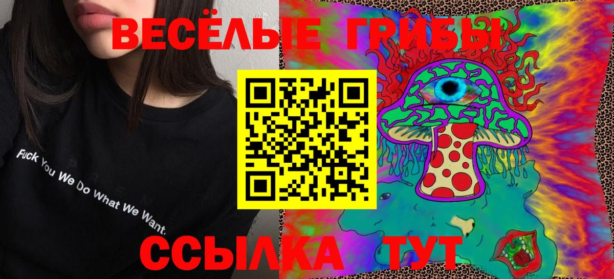 Людиново  Галлюциногенные грибы прущие грибы  Вход с VPN 